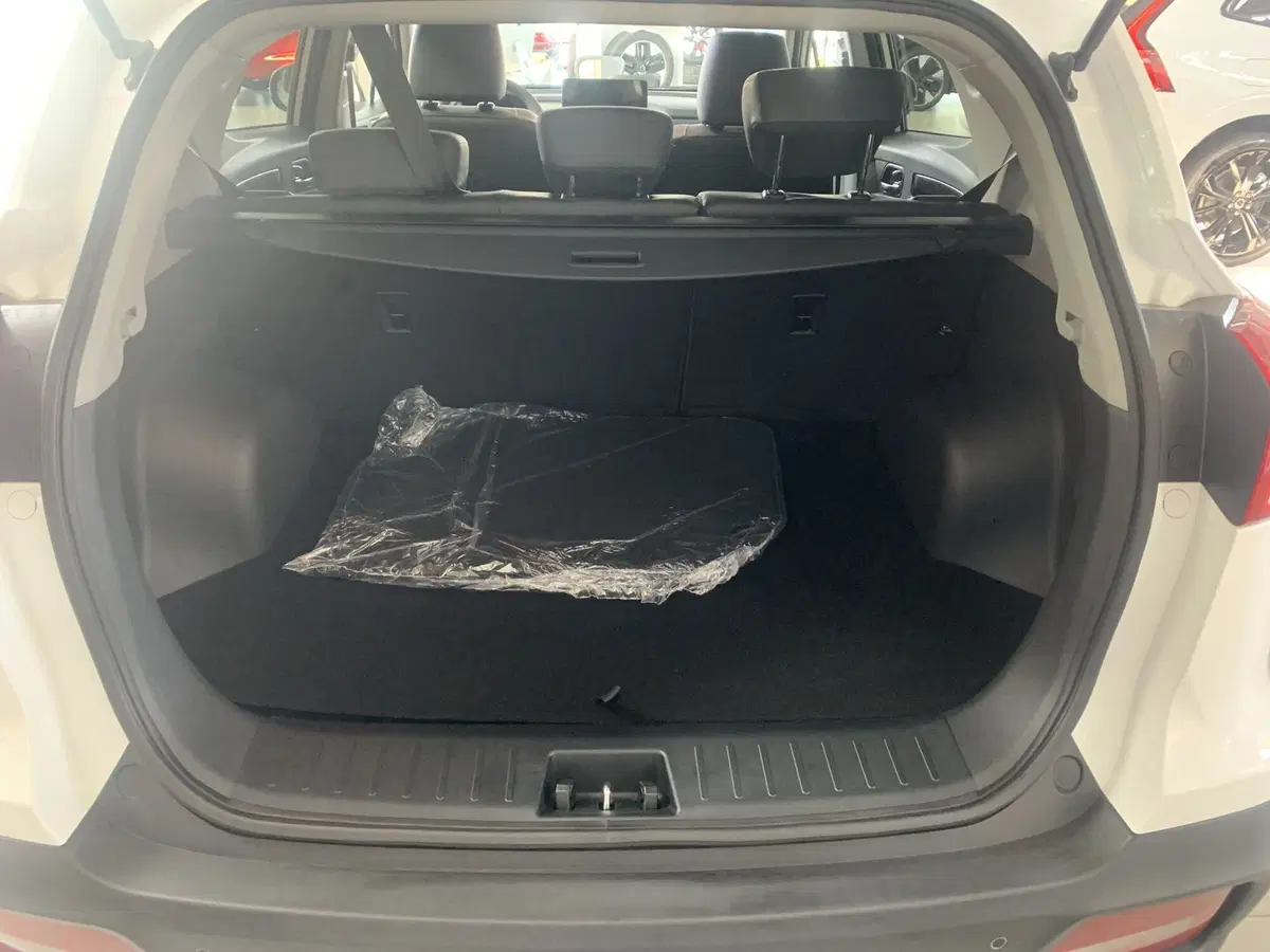 Evo Evo 4 nuova a Ferrara (7)