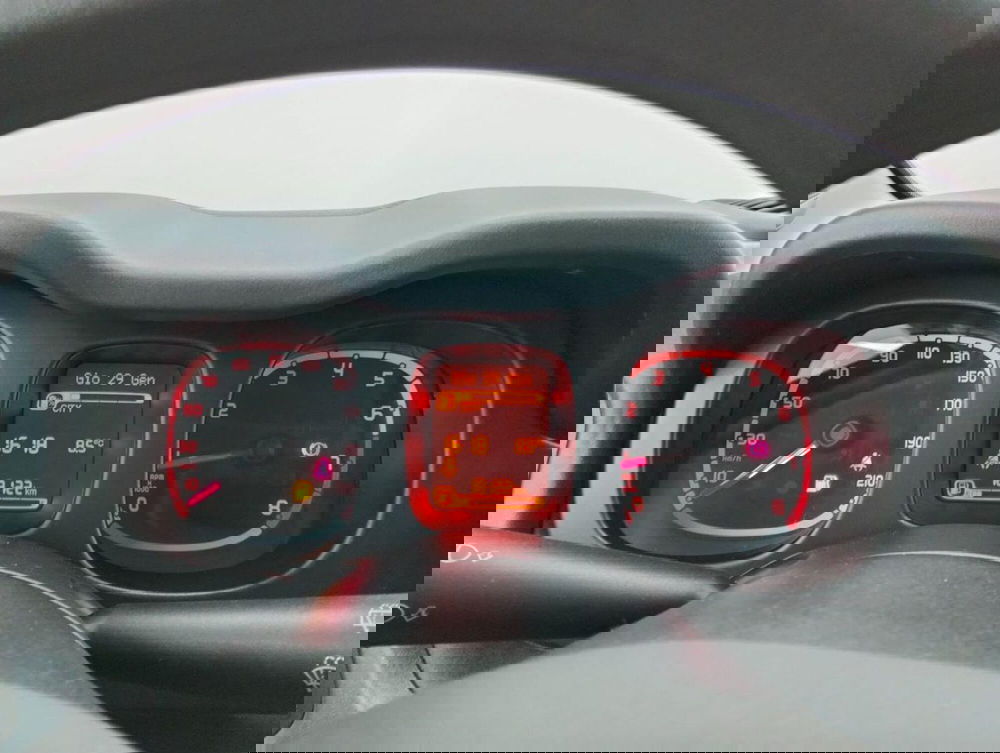 Fiat Panda Cross usata a Como (11)