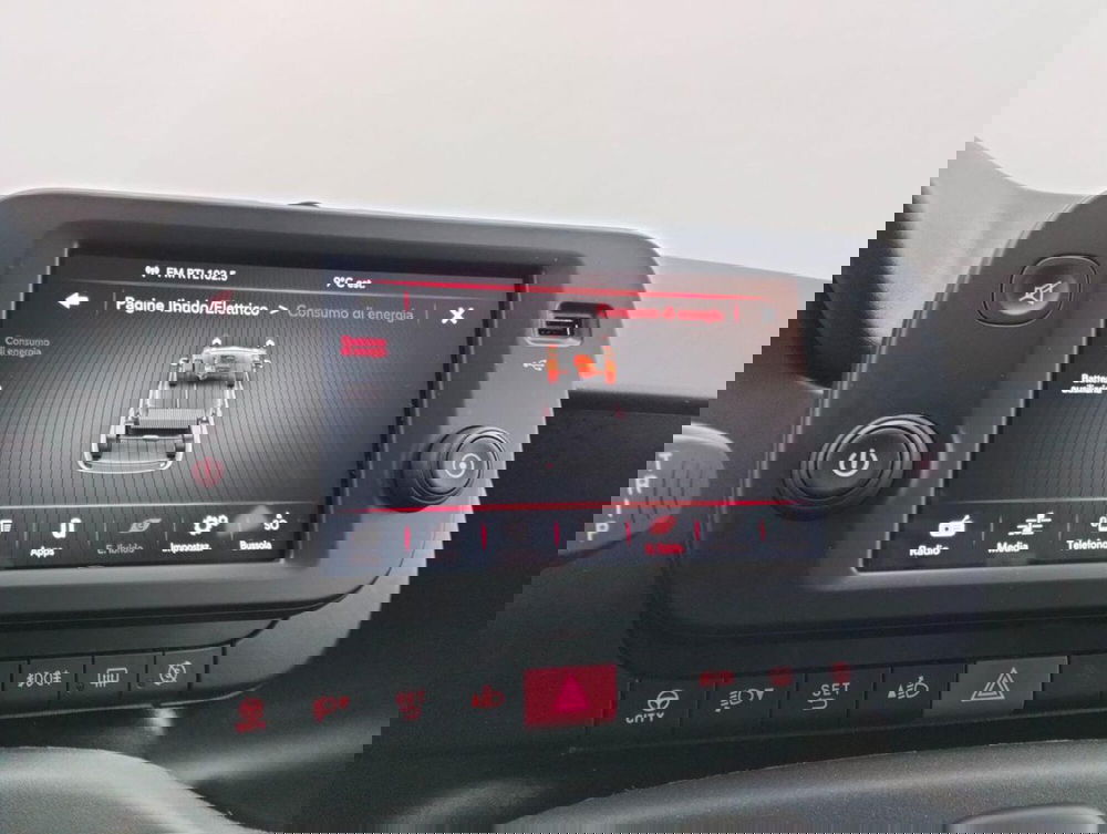 Fiat Panda Cross usata a Como (13)