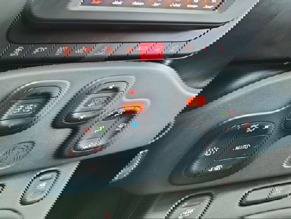 Fiat Panda Cross usata a Como (18)