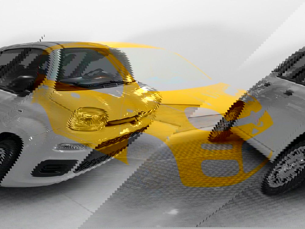 Fiat Pandina nuova a Pisa