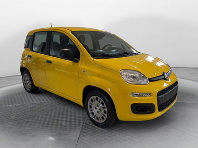 Fiat Pandina 1.0 firefly hybrid Pop s&amp;s 65cv nuova a Ponsacco