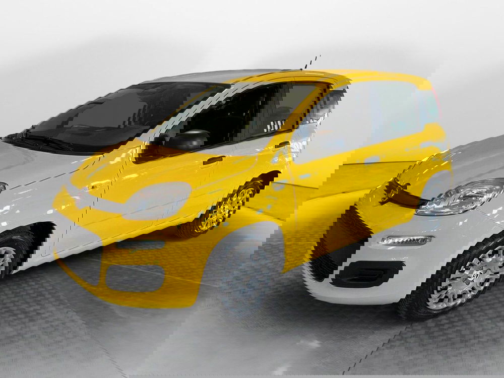 Fiat Pandina nuova a Pisa (3)