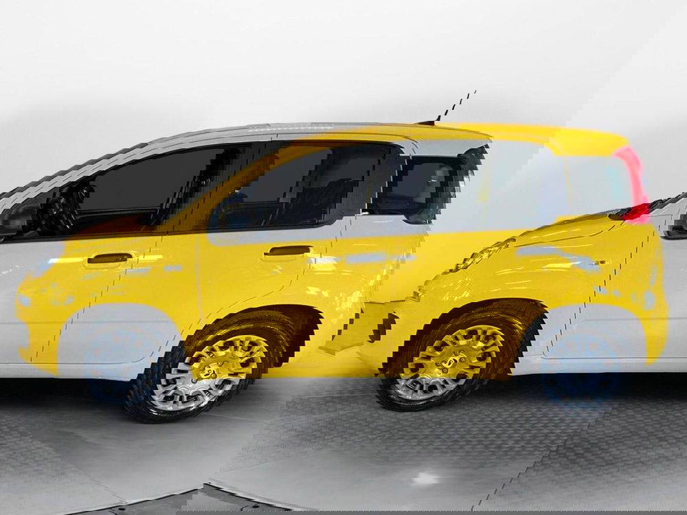 Fiat Pandina nuova a Pisa (7)