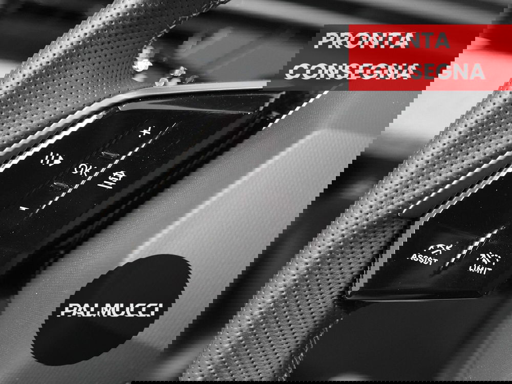 Peugeot 3008 usata a Prato (9)