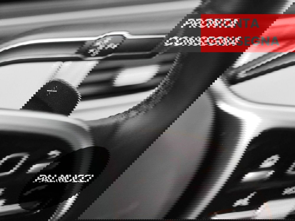 Mercedes-Benz GLE SUV usata a Prato (11)