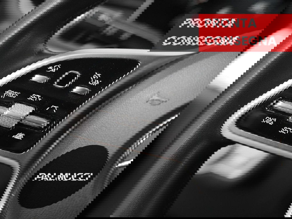 Mercedes-Benz GLE SUV usata a Prato (15)