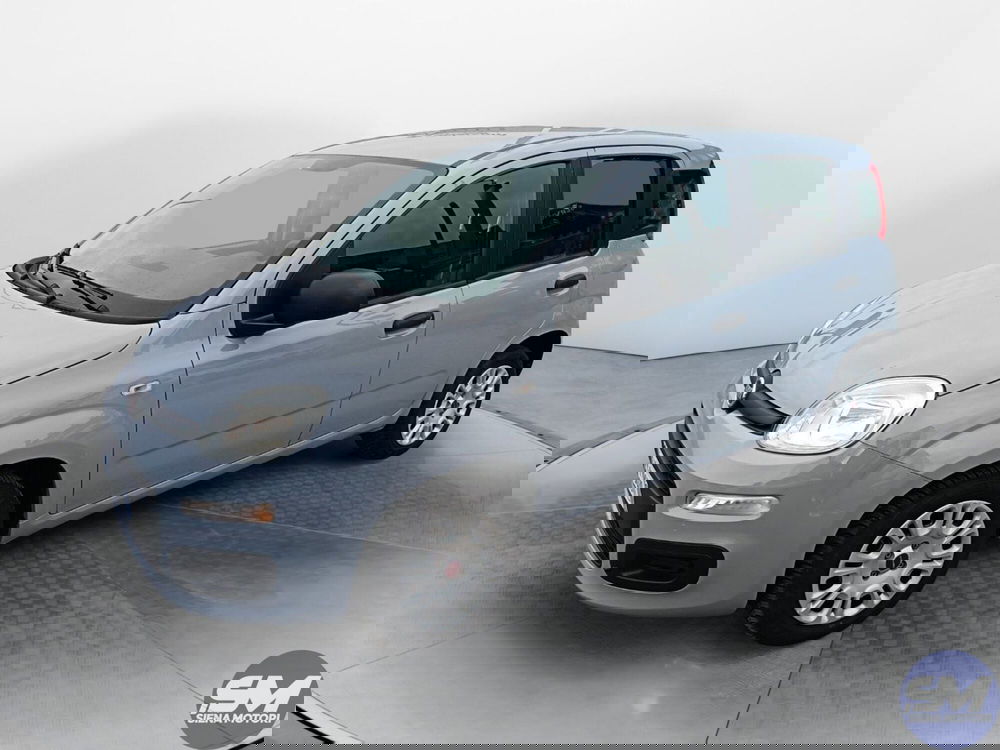 Fiat Panda usata a Siena