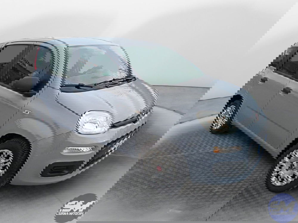 Fiat Panda usata a Siena (3)