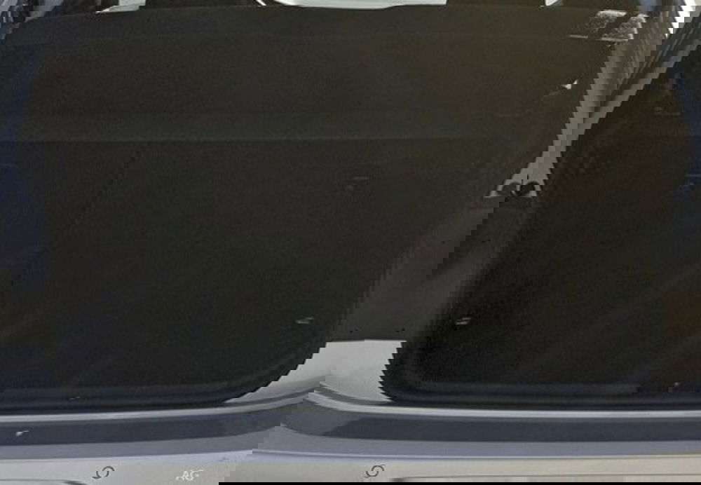 Volkswagen Polo usata a Palermo (13)