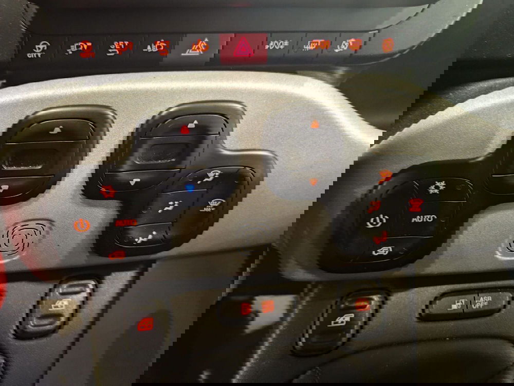 Fiat Panda Cross usata a Milano (12)