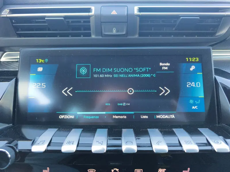 Peugeot 508 SW usata a Frosinone (18)
