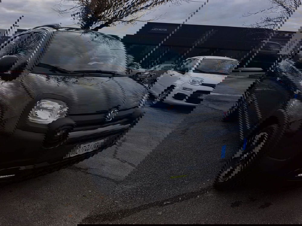 Fiat Pandina usata a Frosinone (10)