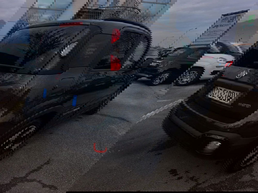 Fiat Pandina usata a Frosinone (2)