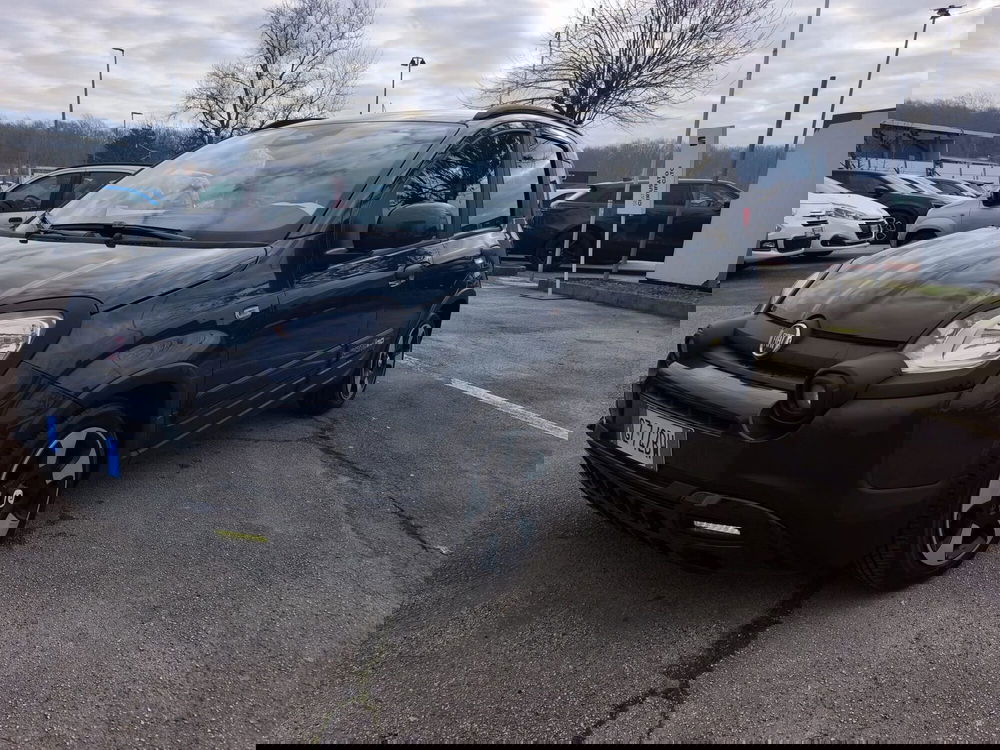 Fiat Pandina usata a Frosinone (7)