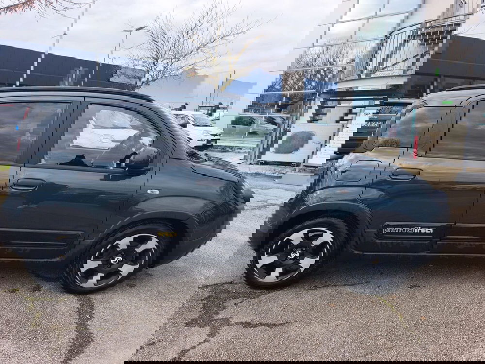 Fiat Pandina usata a Frosinone (9)