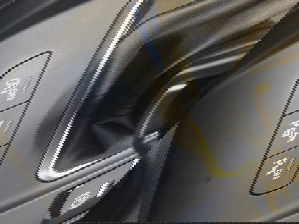 Alfa Romeo Tonale usata a Palermo (15)