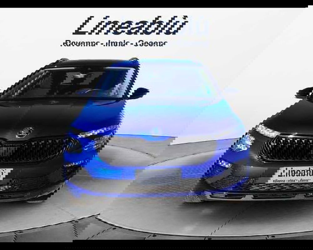 Skoda Kamiq usata a Ravenna (8)