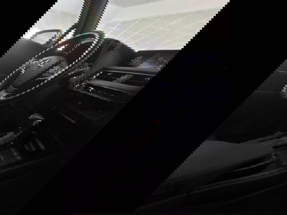 Lexus UX usata a Torino (10)