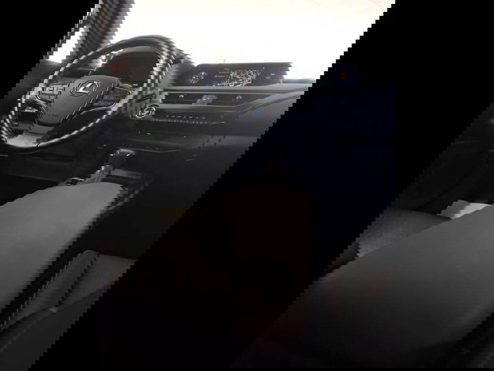 Lexus UX usata a Torino (11)