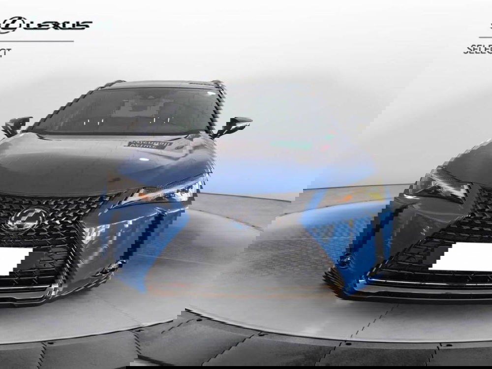 Lexus UX usata a Torino (2)