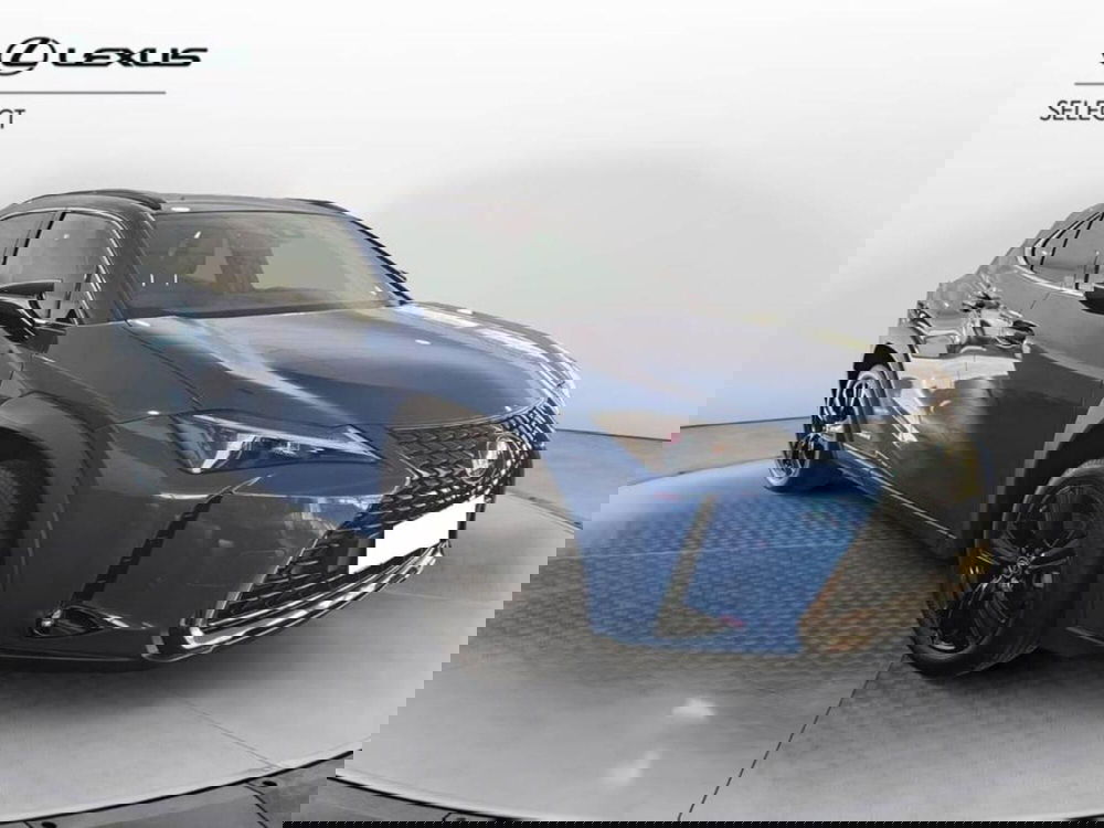 Lexus UX usata a Torino (3)