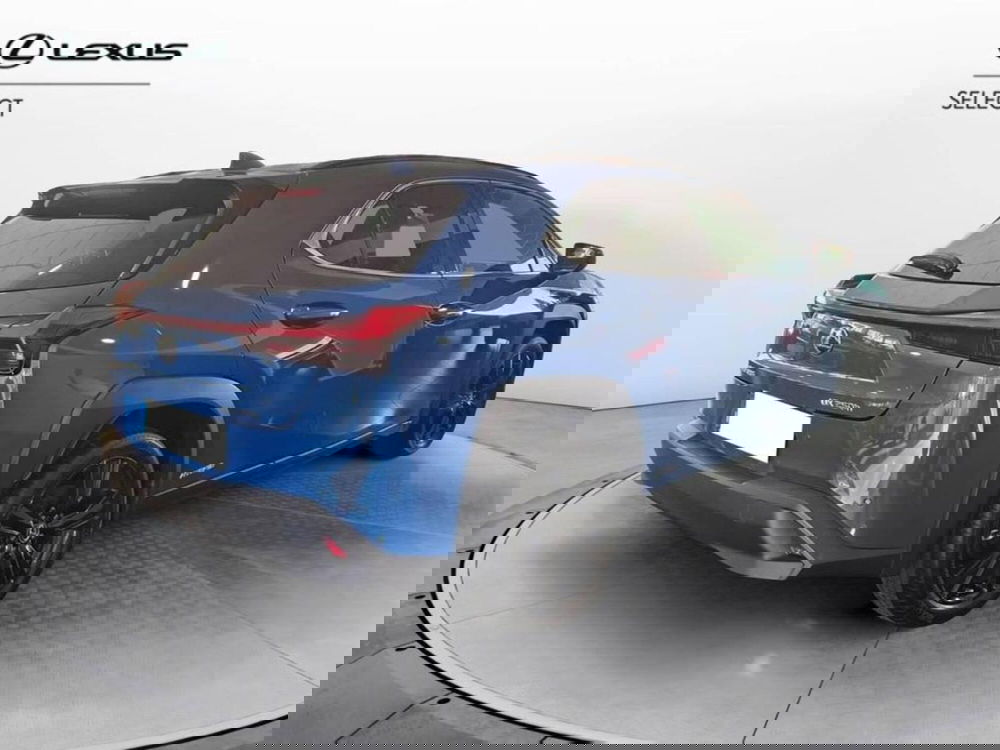 Lexus UX usata a Torino (4)