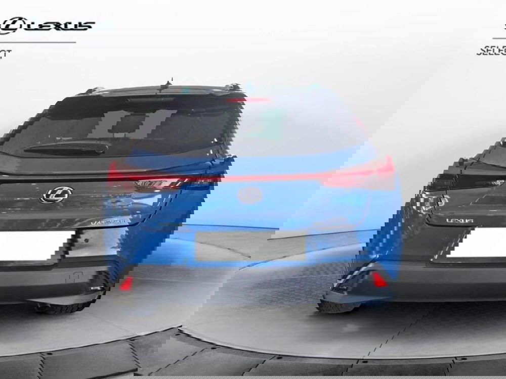 Lexus UX usata a Torino (5)