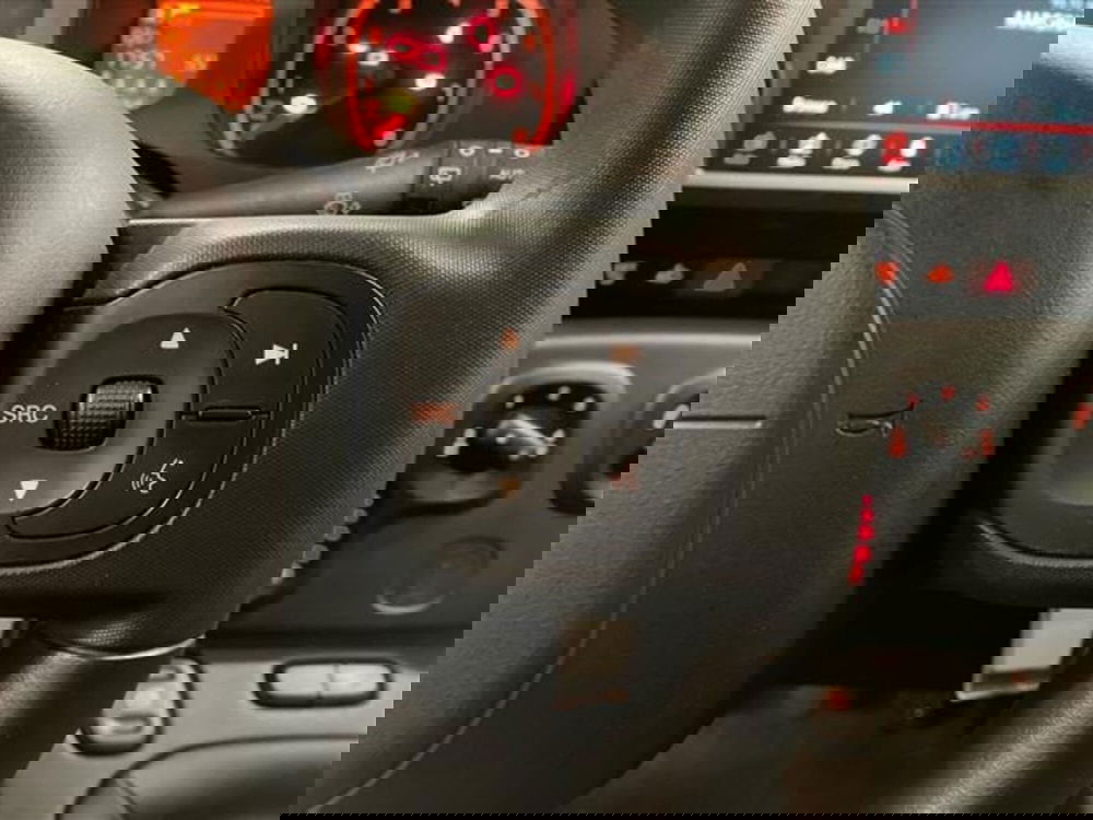 Fiat Panda Cross usata a Como (18)