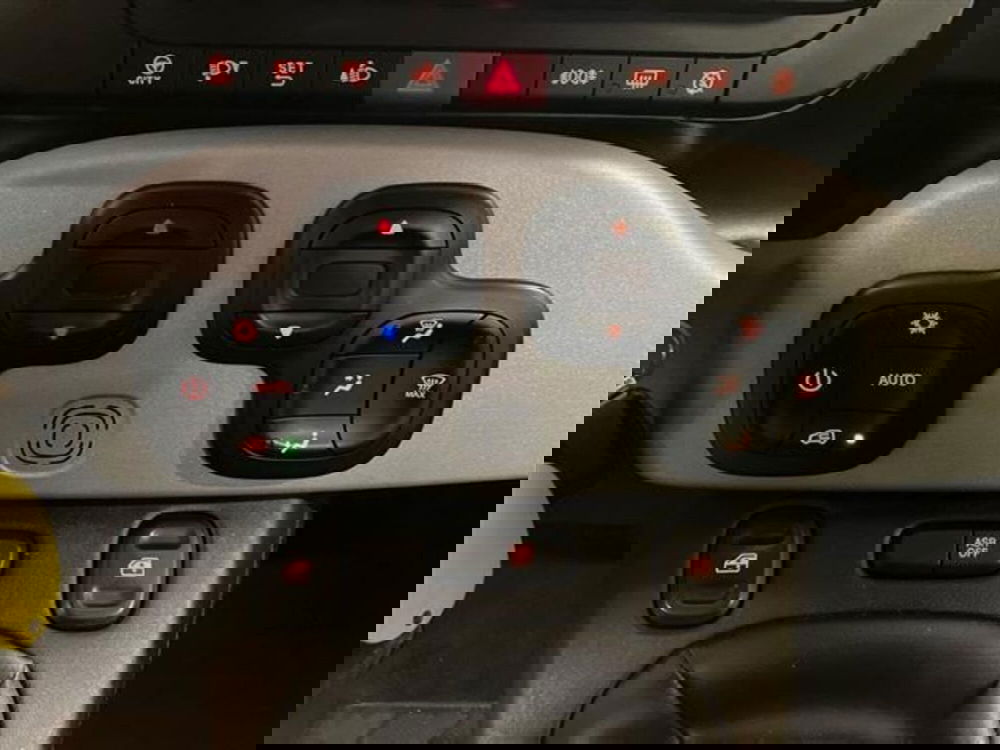 Fiat Panda Cross usata a Como (19)