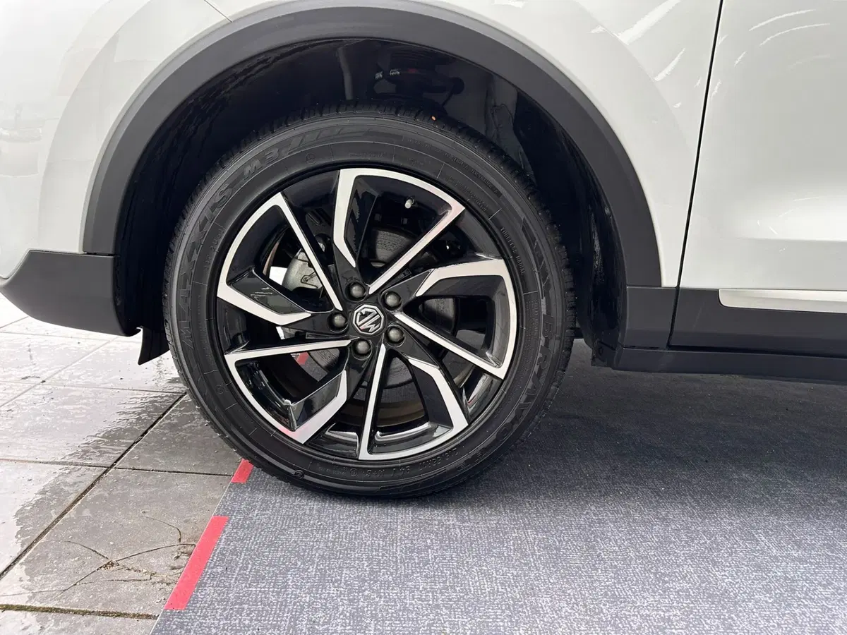 Mg ZS usata a Frosinone (15)