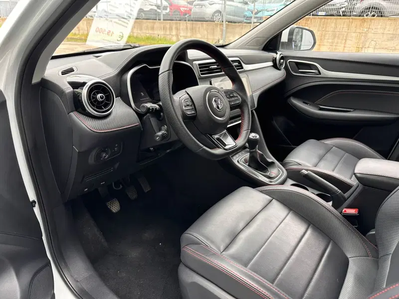 Mg ZS usata a Frosinone (17)