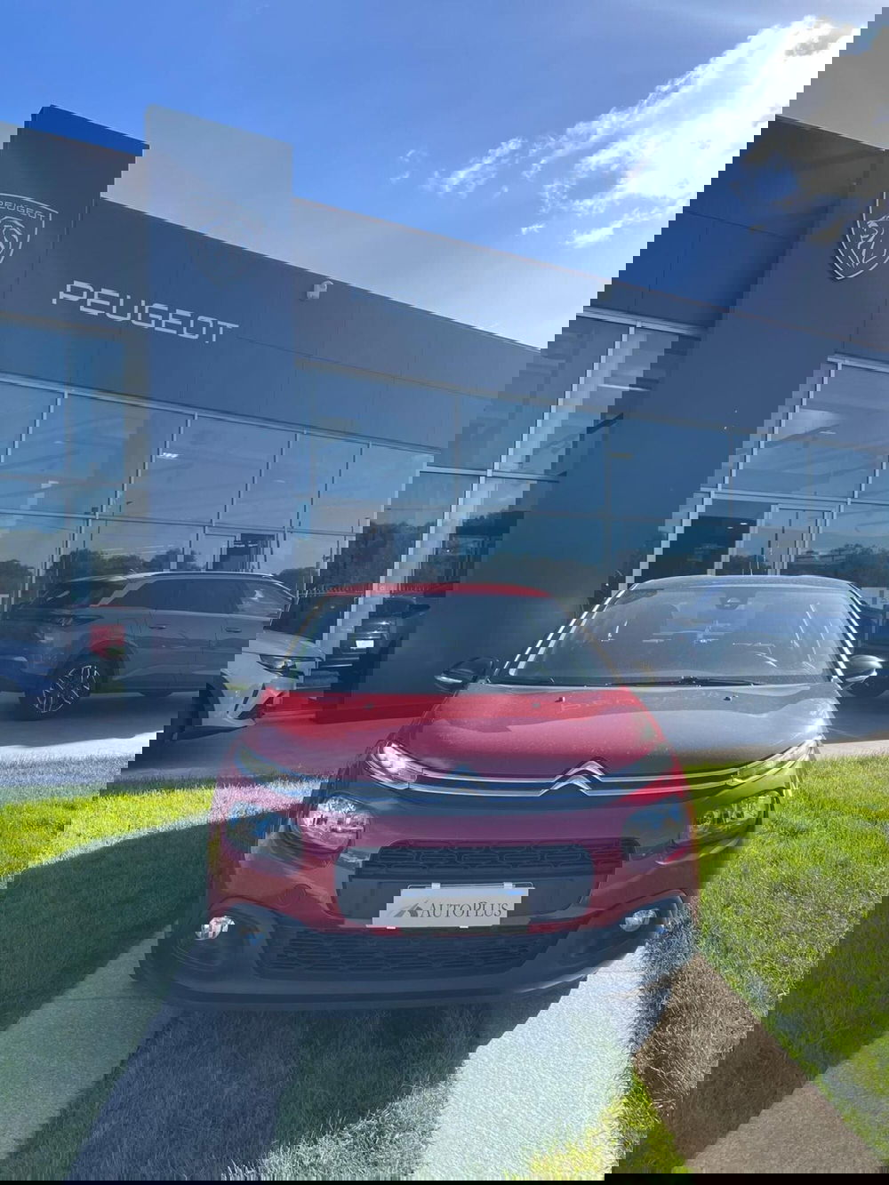 Citroen C3 usata a Sassari (4)