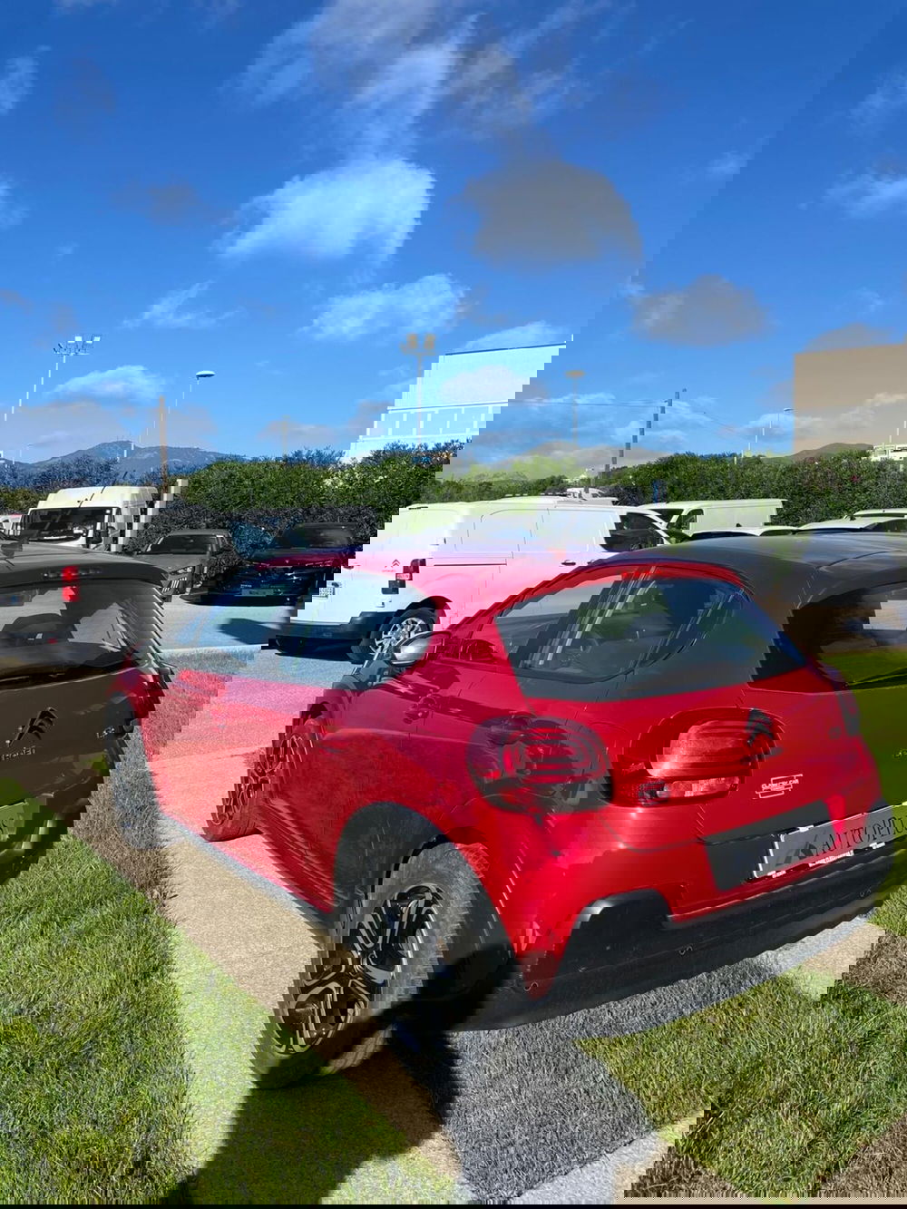 Citroen C3 usata a Sassari (6)