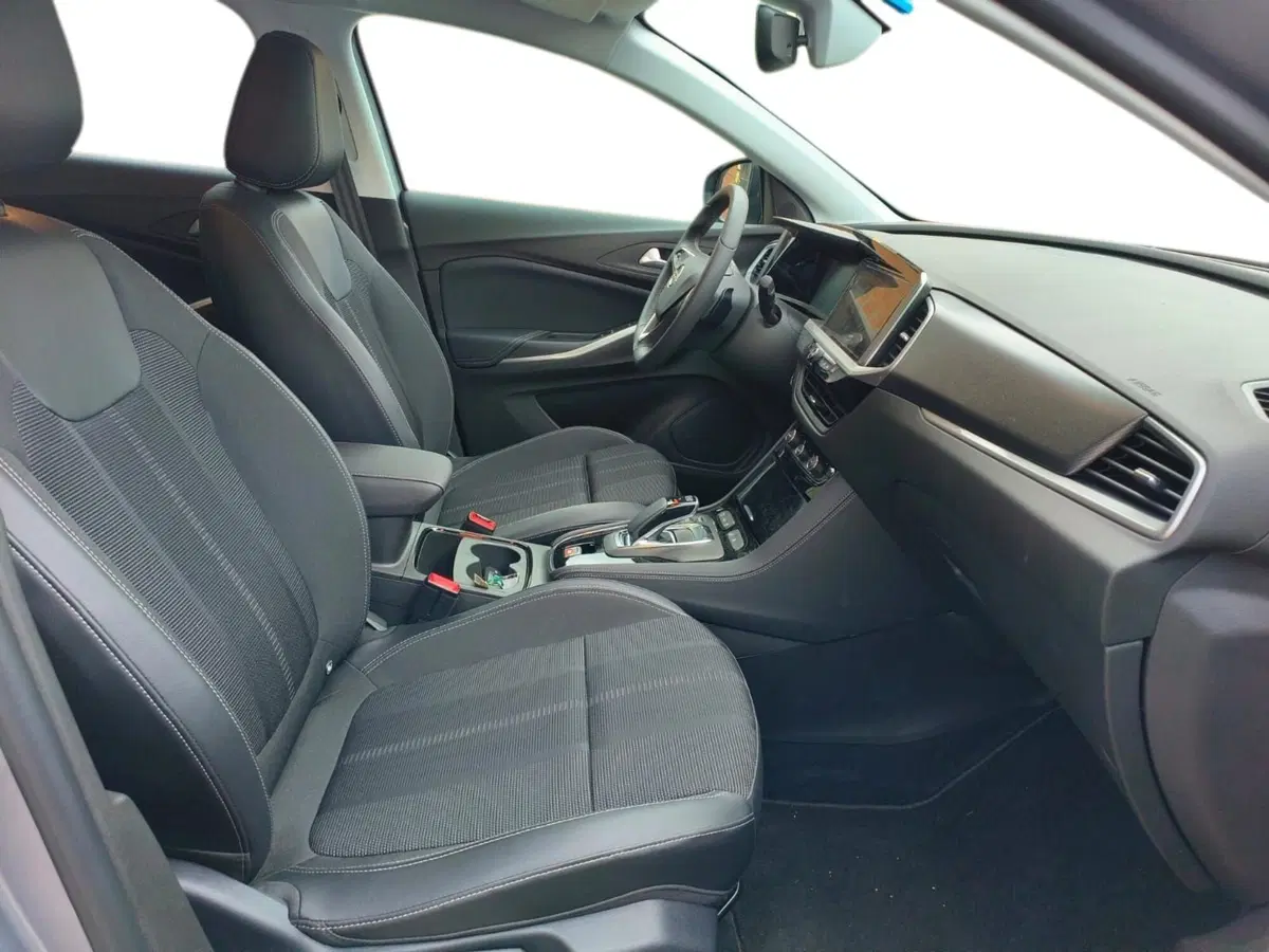 Opel Grandland usata a Pistoia (14)