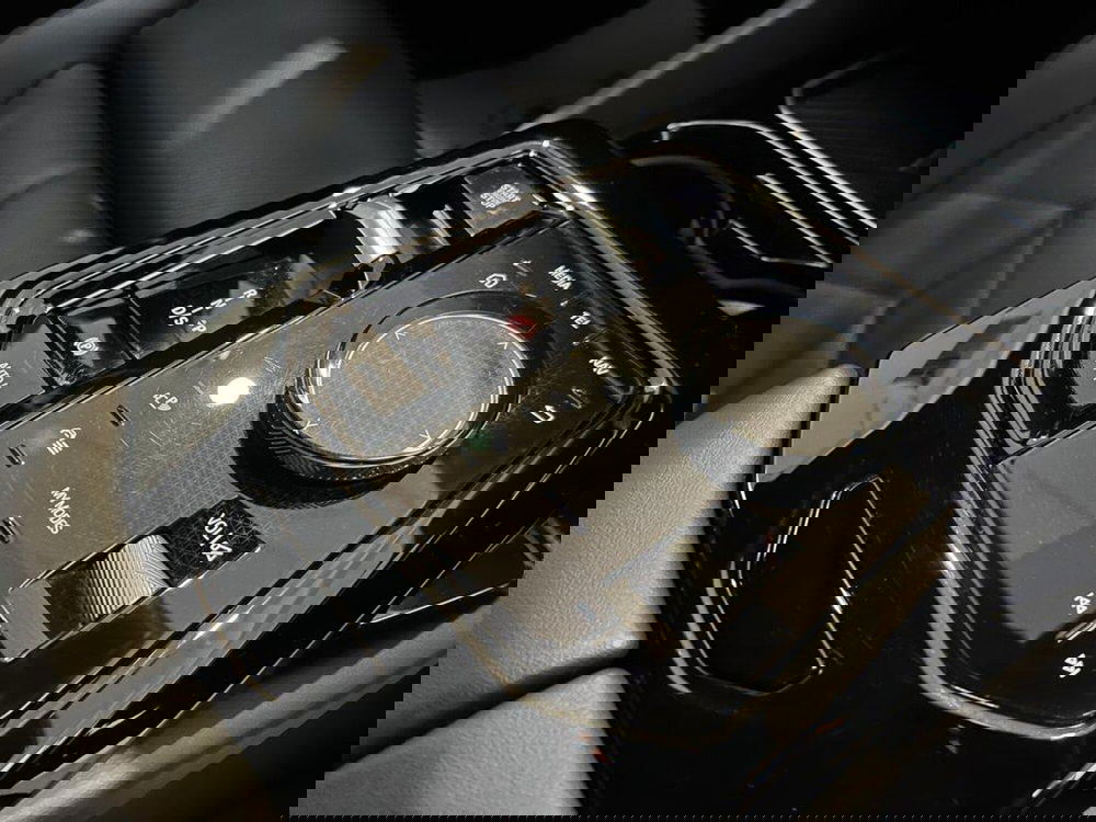 BMW Serie 5 Touring usata a Alessandria (14)