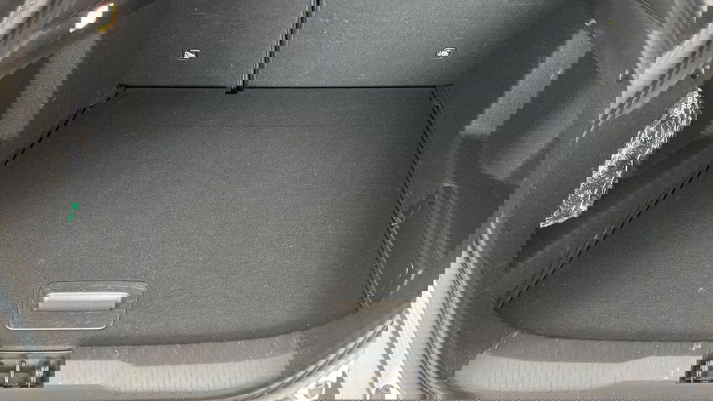 Renault Arkana usata a Viterbo (14)