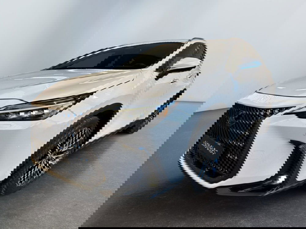 Lexus NX usata a Modena