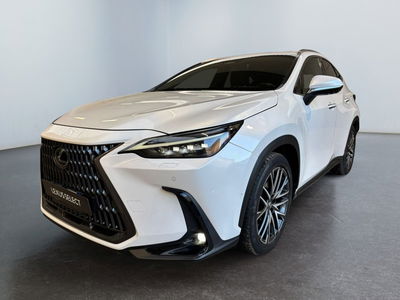 Lexus NX Plug-in 4WD Premium del 2022 usata a Modena