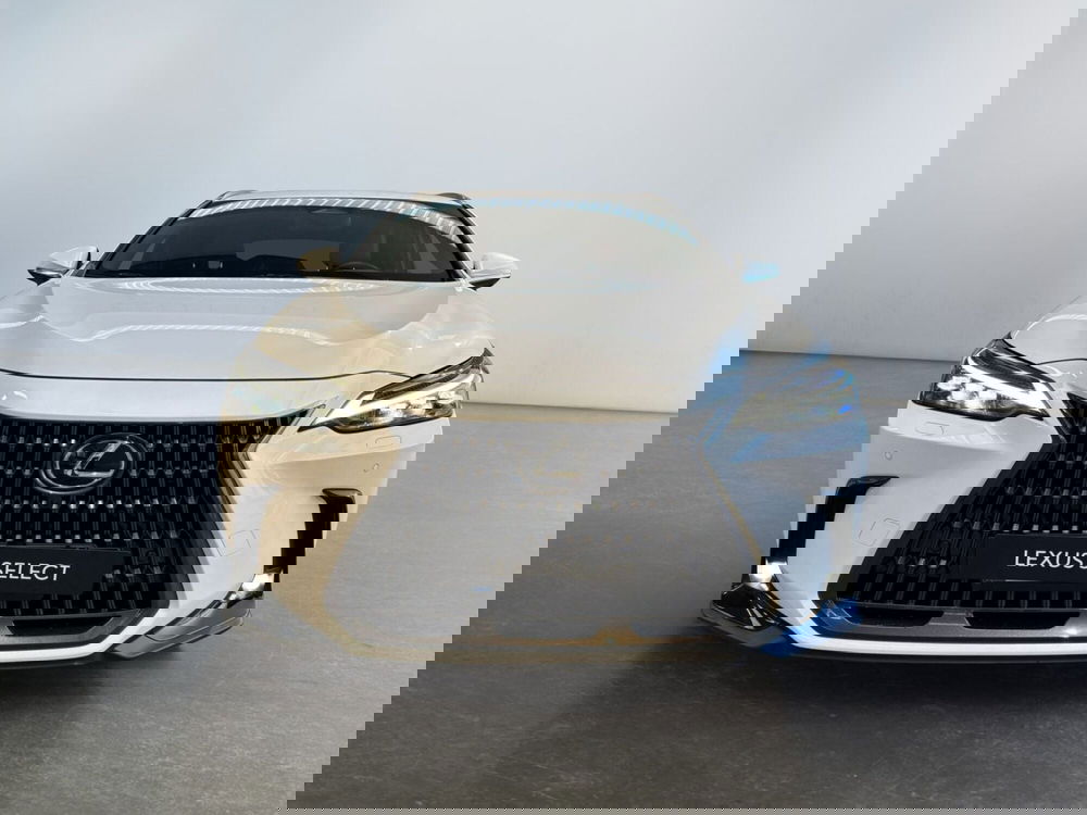 Lexus NX usata a Modena (2)