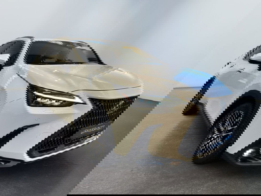 Lexus NX usata a Modena (3)