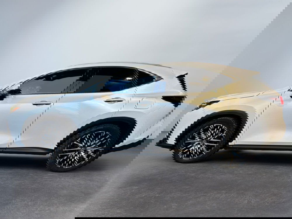 Lexus NX usata a Modena (4)