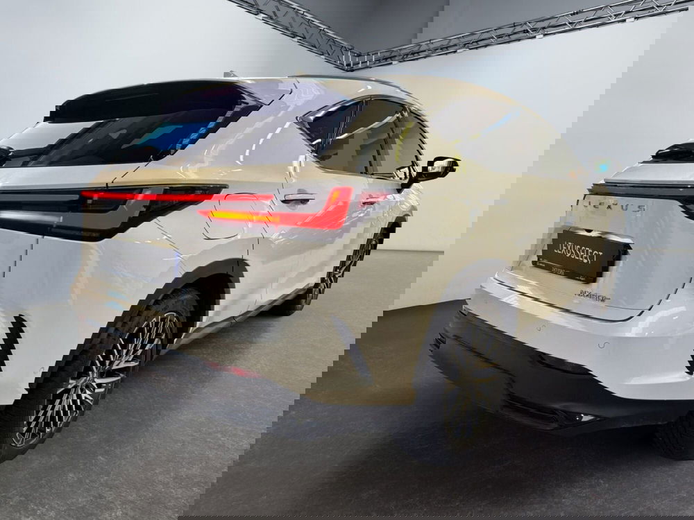 Lexus NX usata a Modena (8)