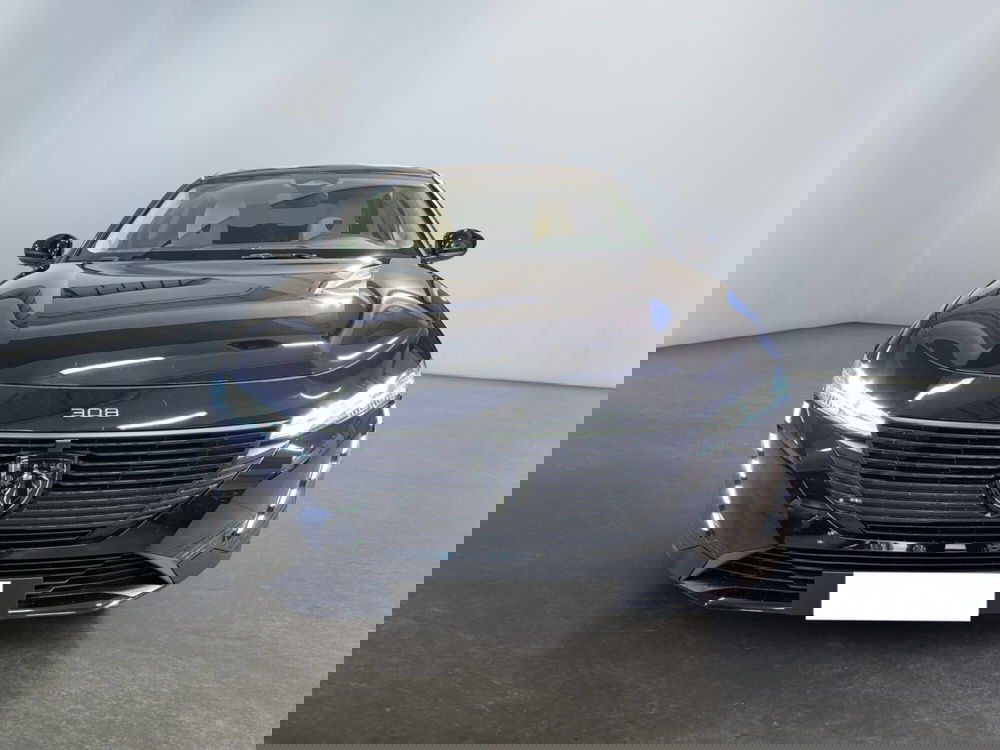 Peugeot 308 SW usata a Modena (2)