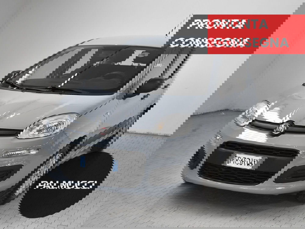 Fiat Panda usata a Prato