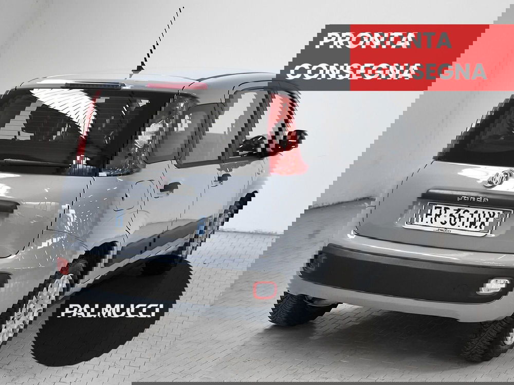 Fiat Panda usata a Prato (3)