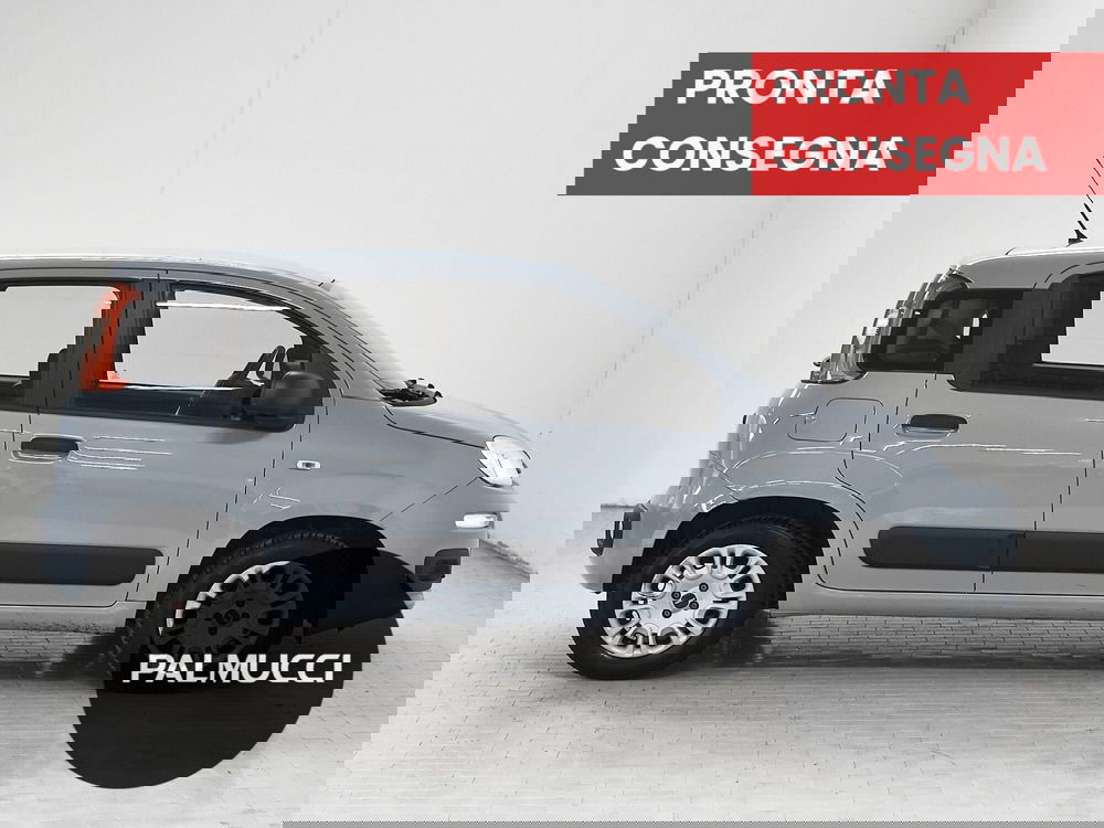 Fiat Panda usata a Prato (5)