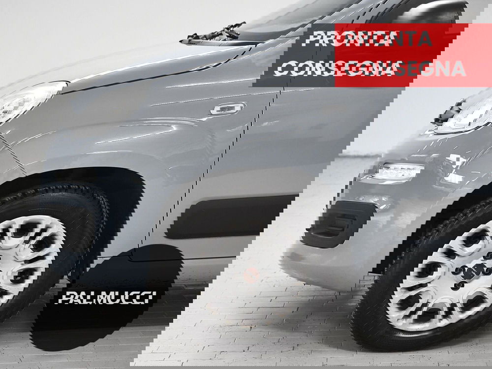 Fiat Panda usata a Prato (6)