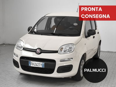 Fiat Panda 1.2 EasyPower Lounge del 2017 usata a Prato