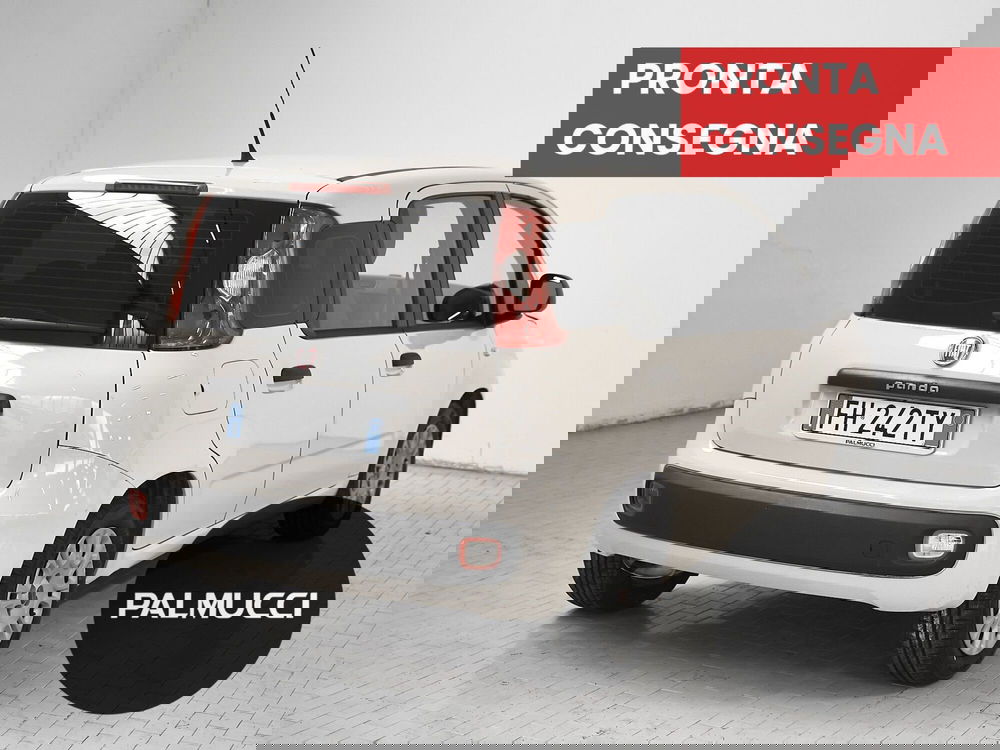 Fiat Panda usata a Prato (2)